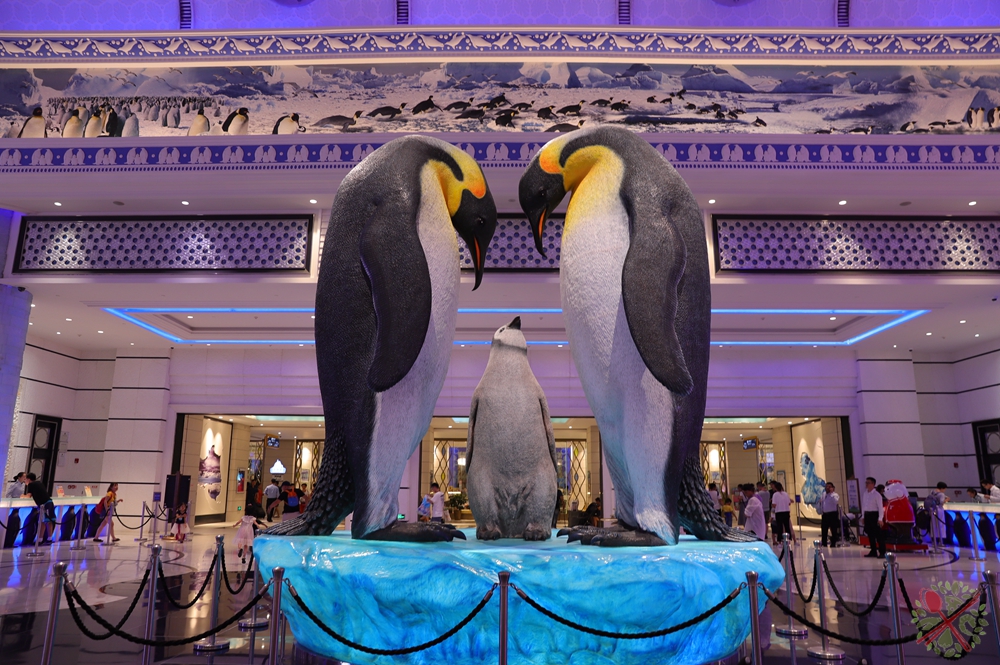 珠海长隆海洋王国企鹅馆北极熊馆,珠海长隆企鹅海洋王国攻略