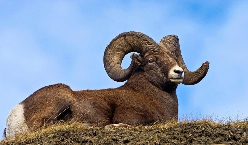 山区迷路怎么办,山地迷路解救办法视频教程