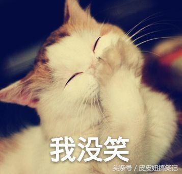 裤子没脱就把事给办了！挺好！