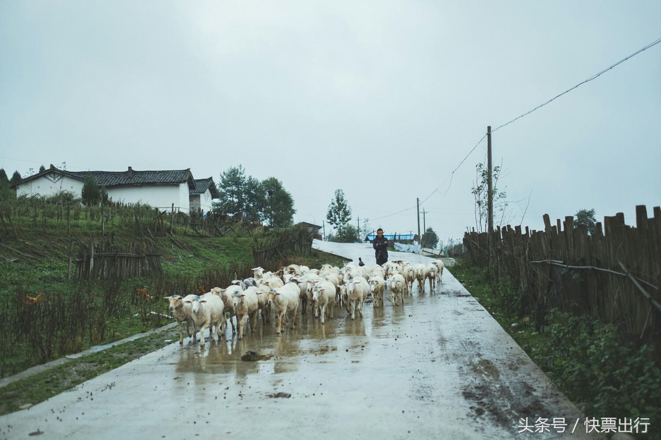 2020孟获城冶勒湖自驾攻略,孟获城冶勒湖自驾游攻略绵阳