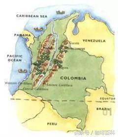 小白去咖啡店怎么点咖啡,小白怎样去操作咖啡店