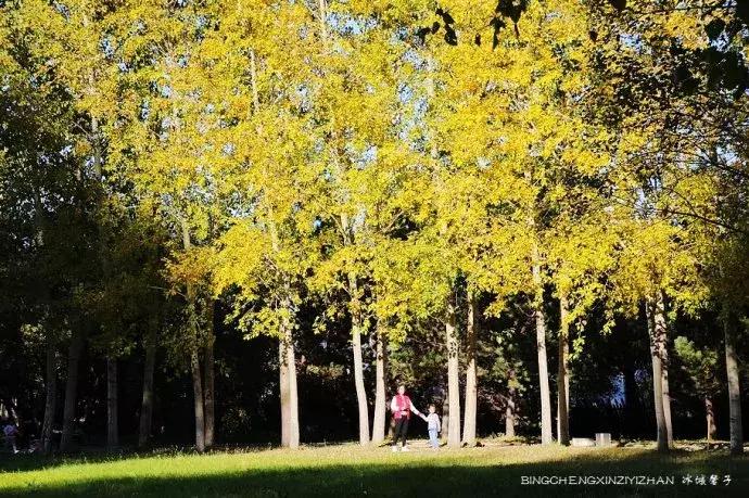 哈尔滨隐藏的景点伏尔加庄园,哈尔滨国庆节去哪里