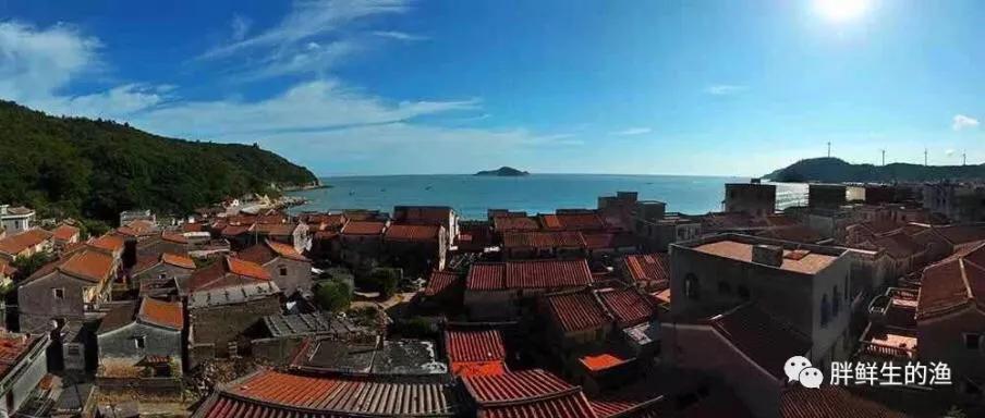 九节虾斑节虾,黑虎虾斑节虾九节虾哪个好吃