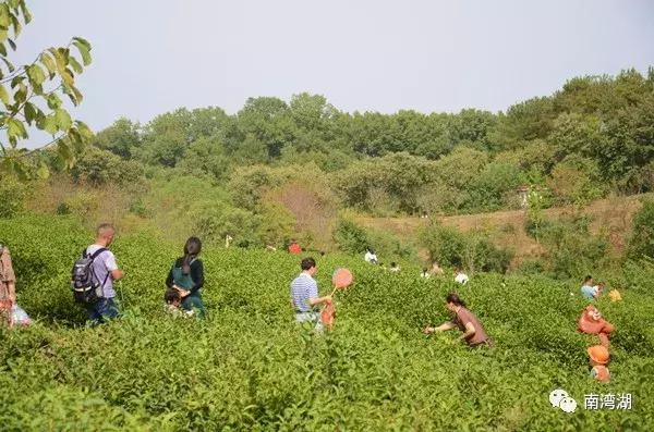 信阳十一自驾游推荐表南湾湖,十一假期旅游推荐信阳自驾游
