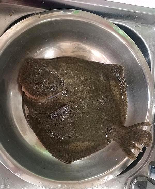 多宝鱼清蒸的做法蒸几分钟,清蒸多宝鱼怎么蒸最好吃