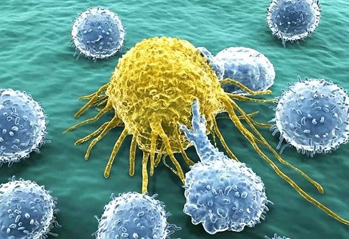 攻克癌症诺奖,诺奖得主骗局揭秘