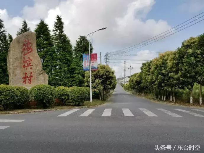 美丽乡村行东台,东台乡村振兴试点村