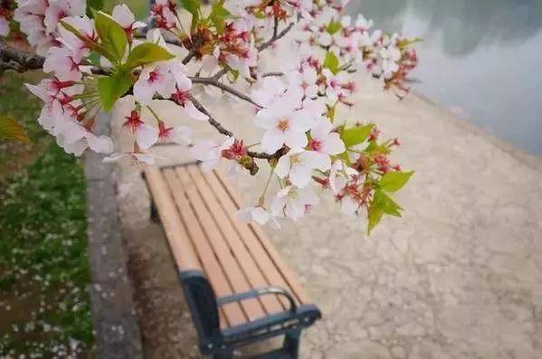 出去人从众,玄武为你安排了身边的风景