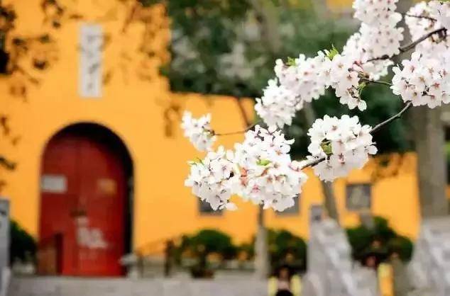 出去人从众,玄武为你安排了身边的风景