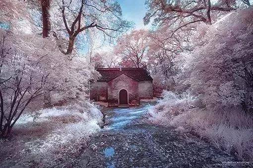 出去人从众,玄武为你安排了身边的风景