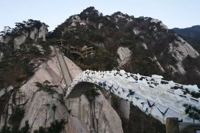 适合带着去旅行的宠物,宠物旅行攻略如何带宠物出门旅游