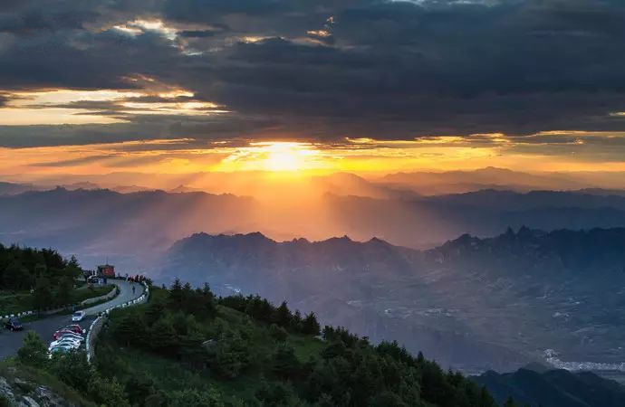 适合带着去旅行的宠物,宠物旅行攻略如何带宠物出门旅游