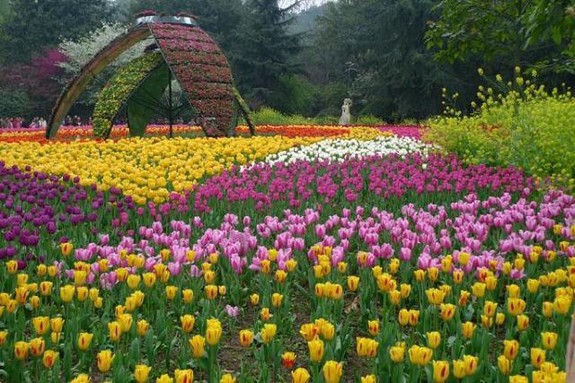 2019重庆优惠活动,重庆最新全图