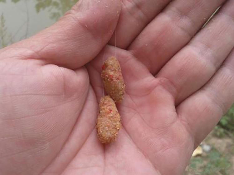 开出饵料丝多但却拉不出饵,搓饵上饵怎么不挡口