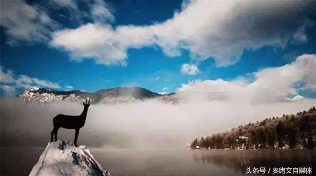 月薪5万想转行做自媒体划算吗,月薪8千怎么做自媒体的