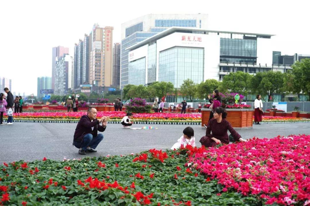 来温江区,温江耍朋友去哪里玩