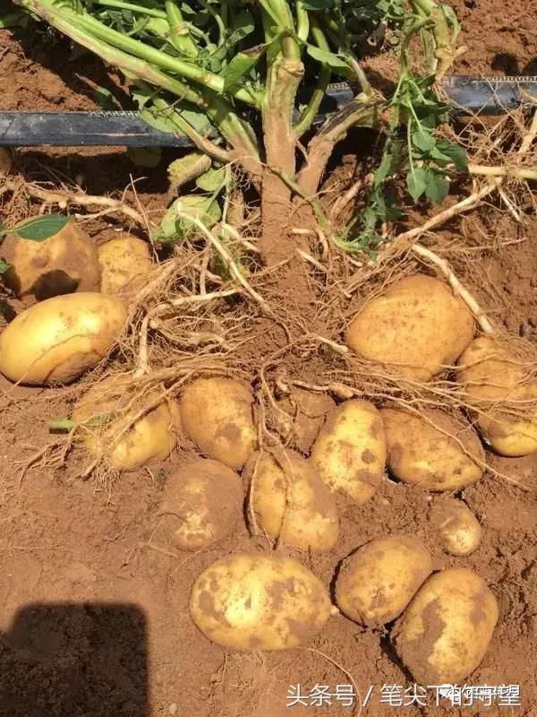 会宁学子求学故事,会宁学子事迹