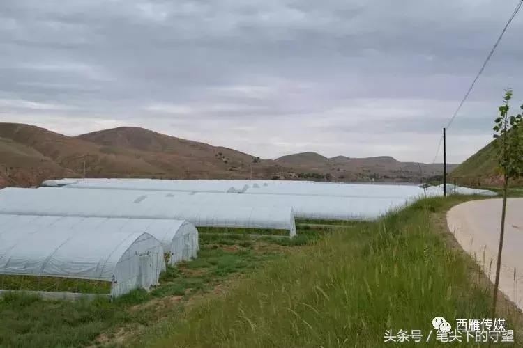 会宁学子求学故事,会宁学子事迹