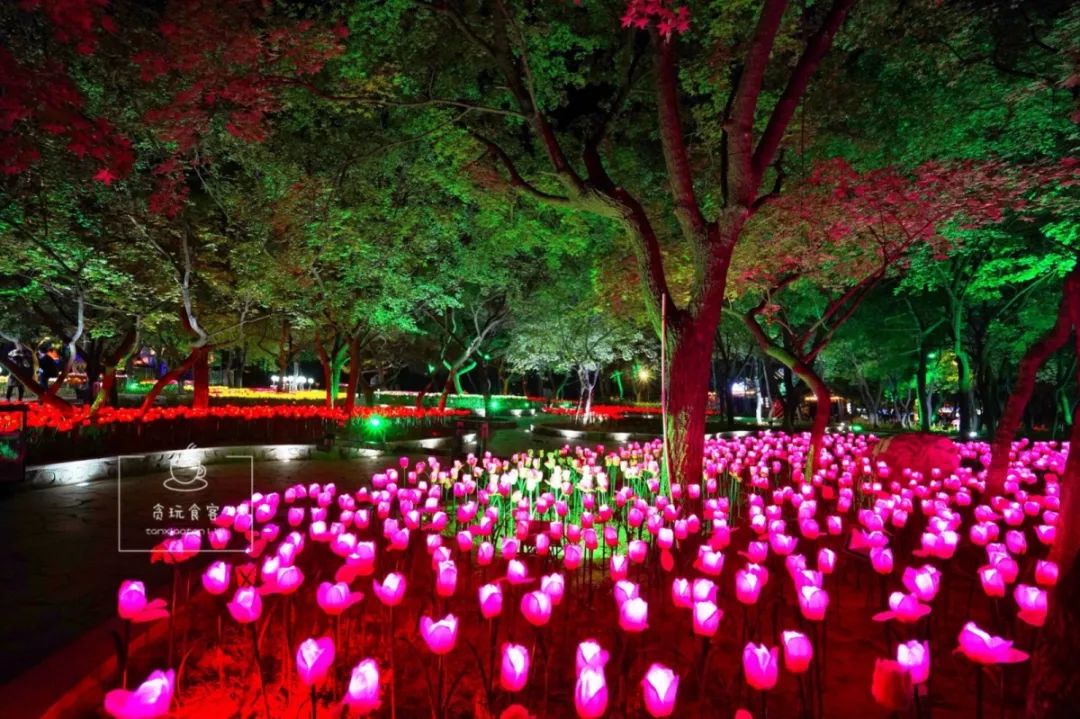 秦皇岛夜景海滩表演,秦皇岛北戴河风景区游玩攻略