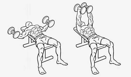 哑铃七天练出肌肉,7个哑铃动作训练全身爆发力