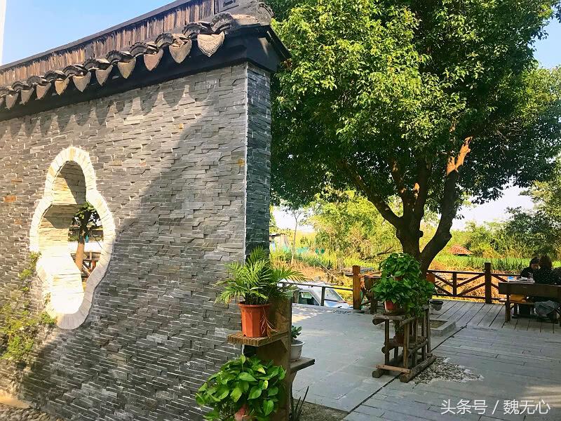 去阳澄湖吃大闸蟹一日游10月份,去阳澄湖吃大闸蟹一日游蟹行天下