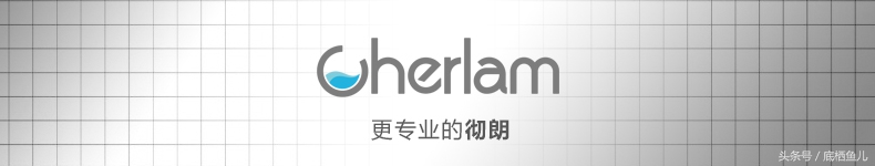 新手养互动性好的小型鱼,好养又皮实的小型鱼