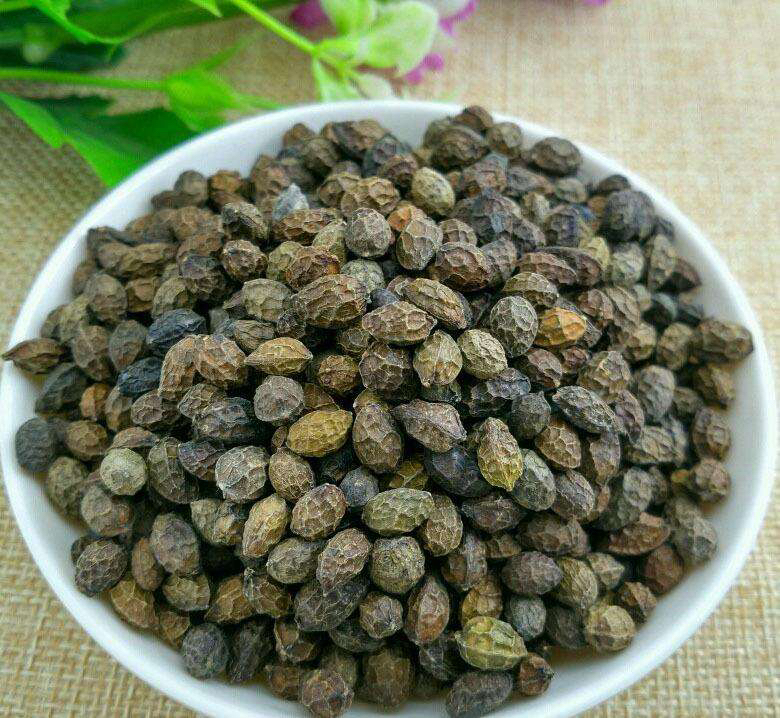 中药材鸦胆子药用价值,中药材鸦胆子的作用与功效