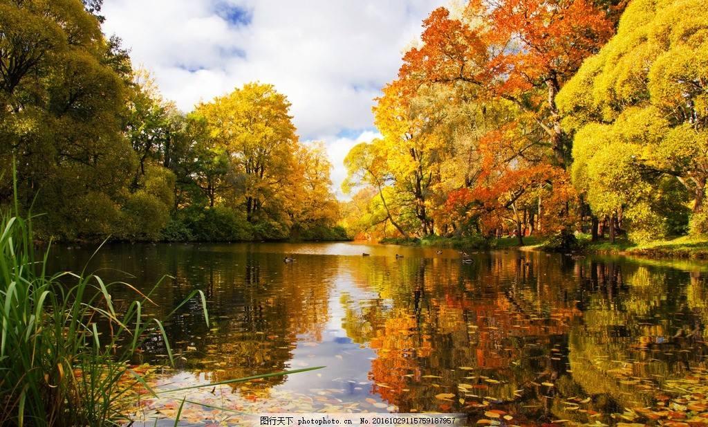 白朴的关于秋天的诗,白朴的关于秋天的诗句