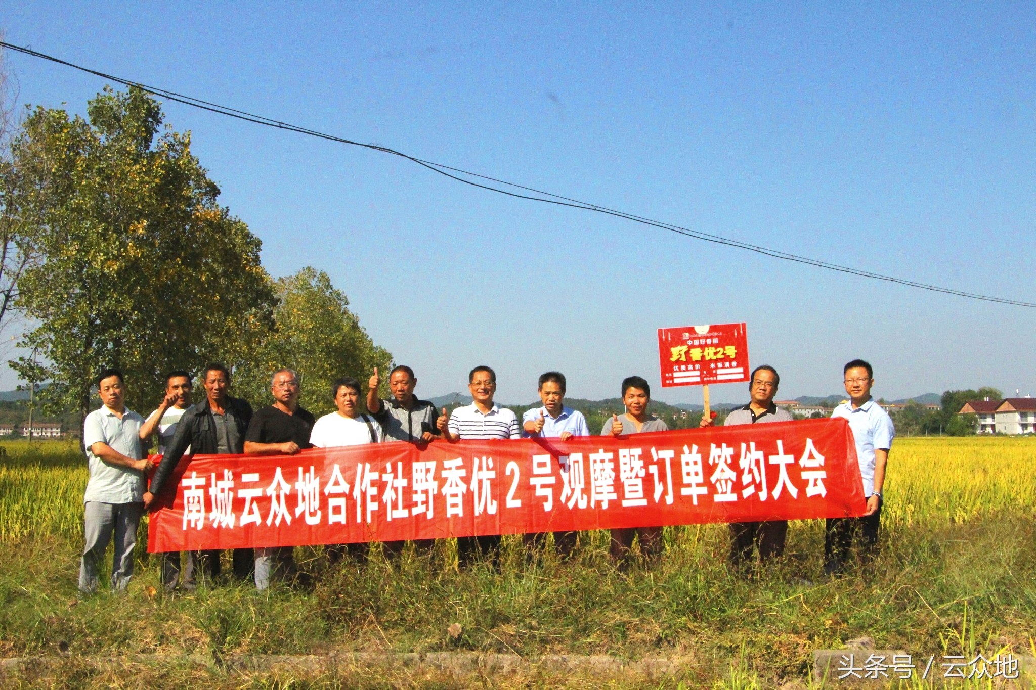 江西农大教授种出38色油菜,农业专家来到苞米地