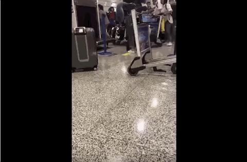 代购彻底凉了！最强审计真的来了！