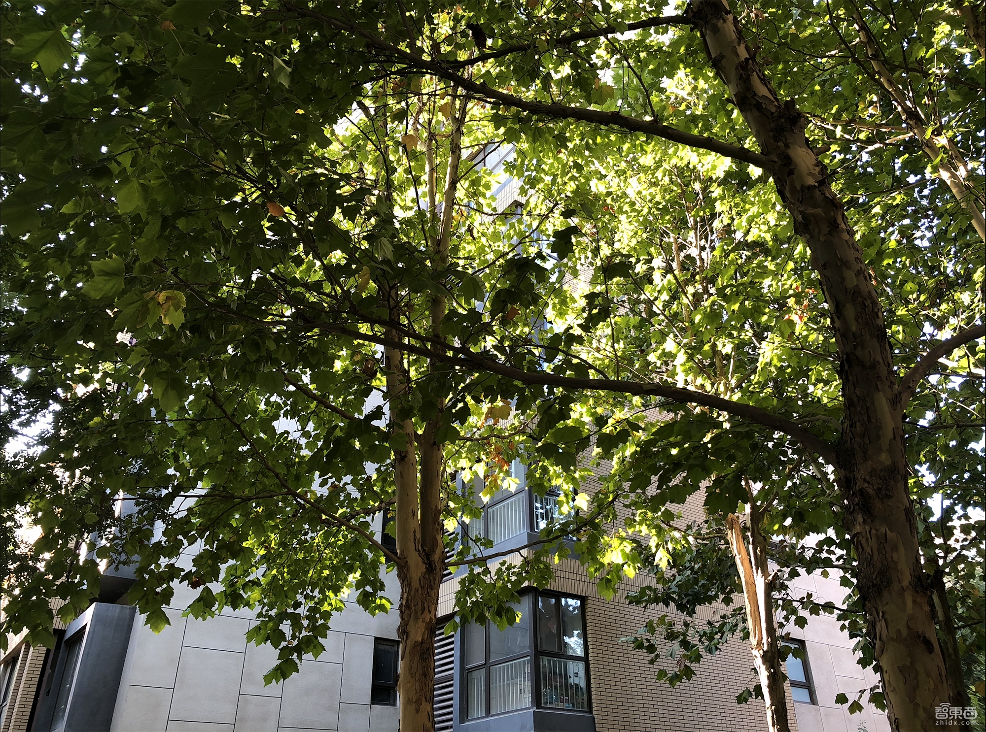 苹果iphonexsmax今年值得买吗,看看苹果iphonexsmax有多耐用