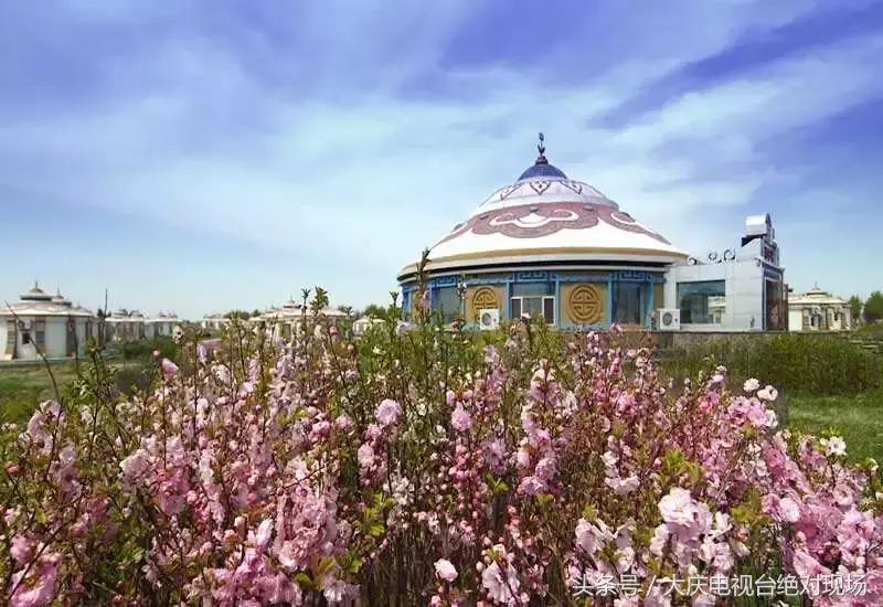 大庆这个城市未来会有发展吗,大庆哪个县发展潜力大