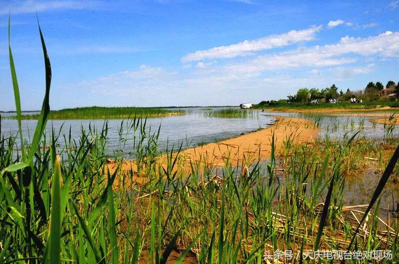 大庆这个城市未来会有发展吗,大庆哪个县发展潜力大