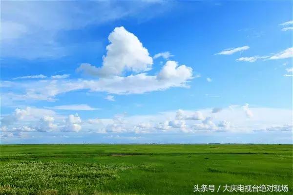 大庆这个城市未来会有发展吗,大庆哪个县发展潜力大