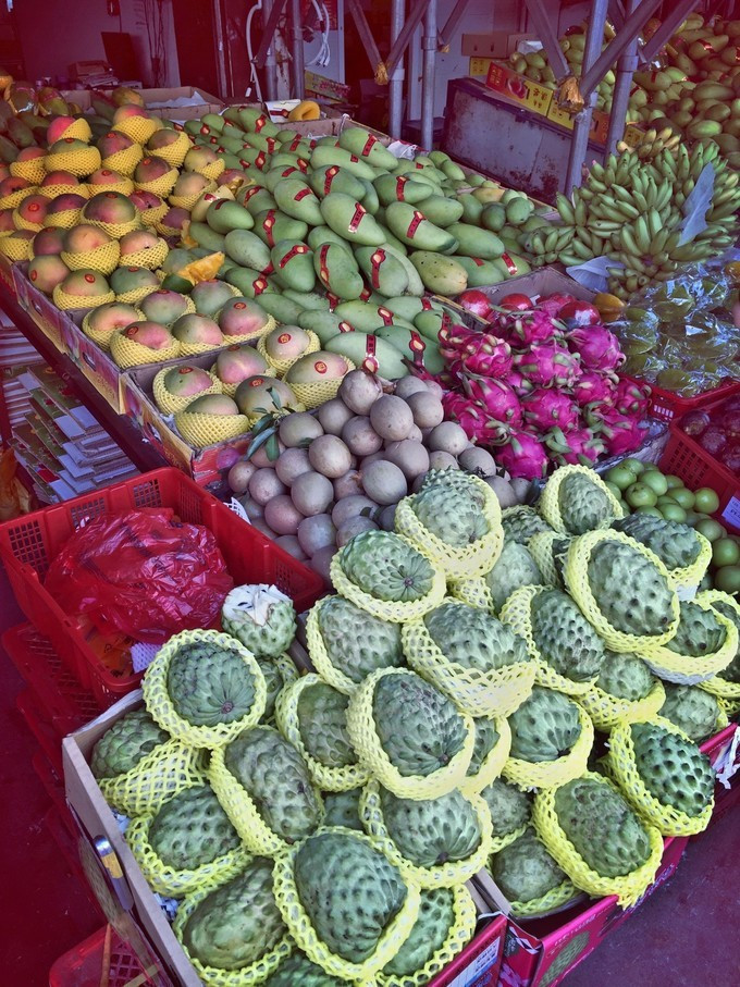 全家人三亚旅游,全家人游海南三亚旅行照片