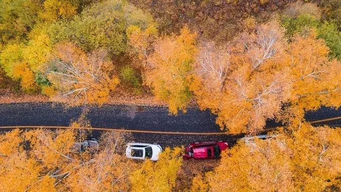 草原风光宛如油画 (呼伦贝尔大草原美图)