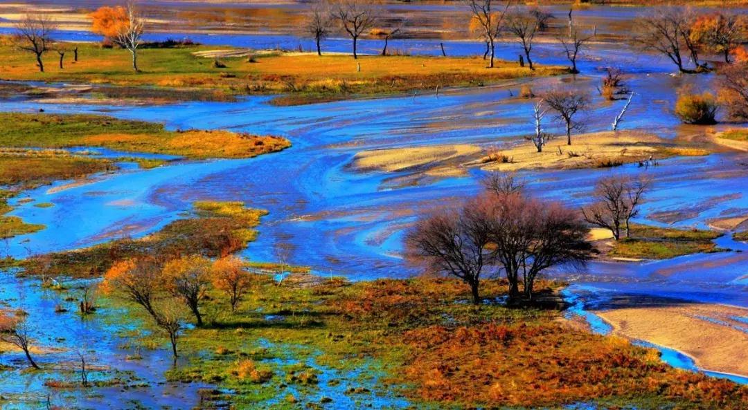 草原风光宛如油画 (呼伦贝尔大草原美图)