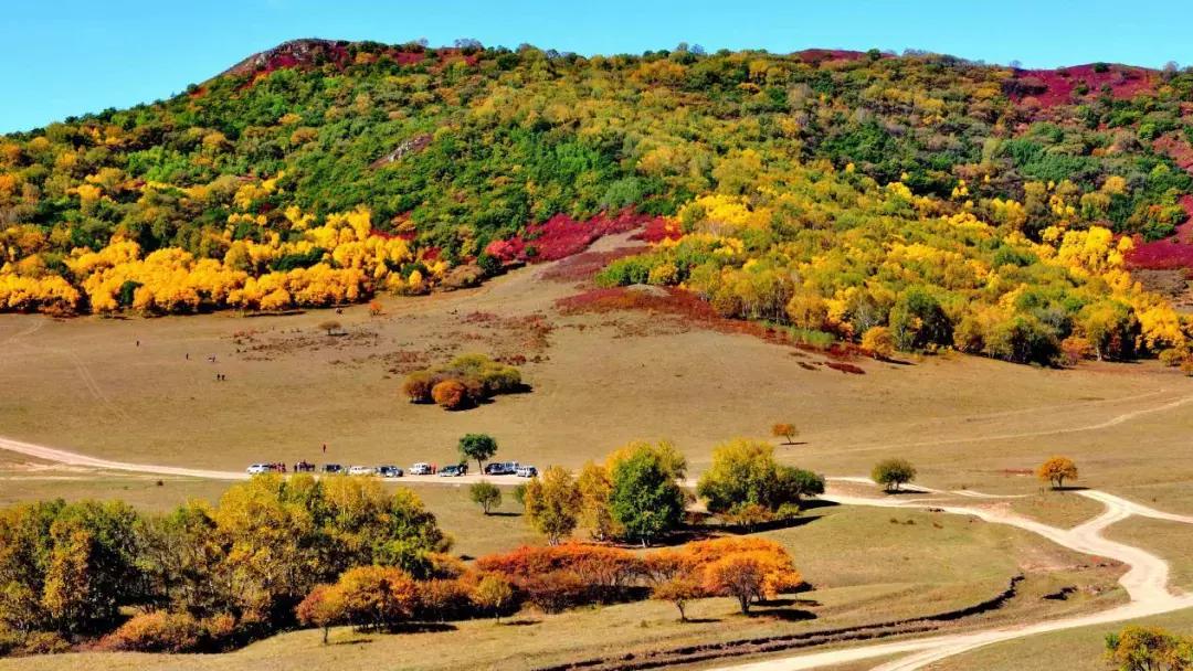 草原风光宛如油画 (呼伦贝尔大草原美图)