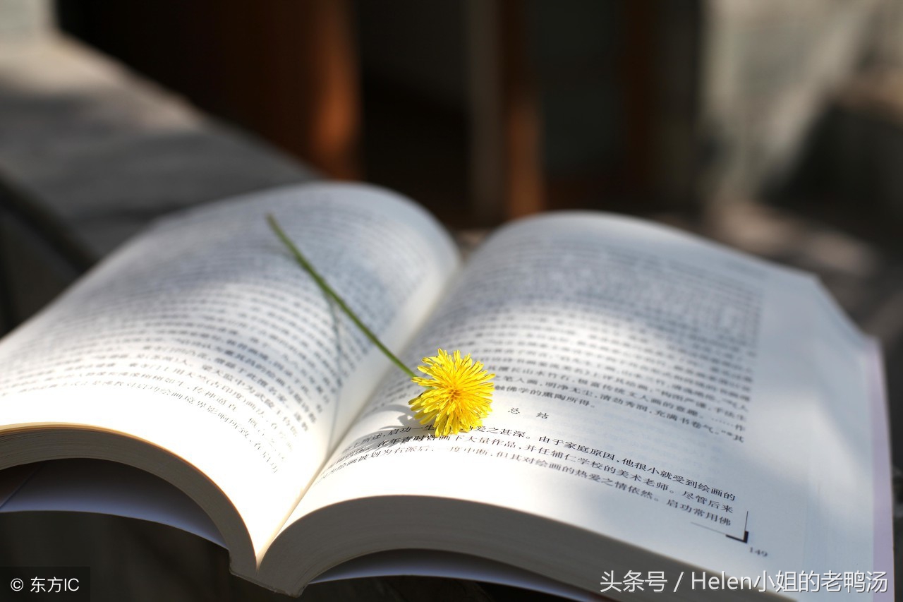 买书如山倒看书如抽丝,读书如抽丝卖书如山倒什么意思