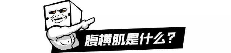 只要24小时教你轻松告别小肚腩,大肚子水桶腰一招解决