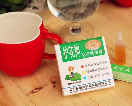 花儿生虫了用什么杀虫好,花儿生虫怎么办打什么药