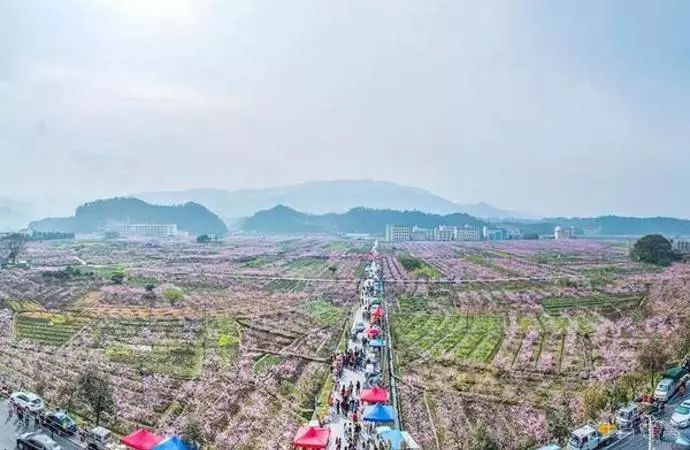 缙云山黛湖仙境,缙云峰景