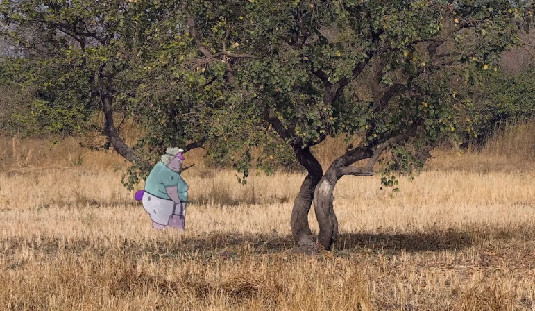 奥斯卡最佳动画短片2022拳击芭蕾,适合儿童看的奥斯卡最佳动画短片