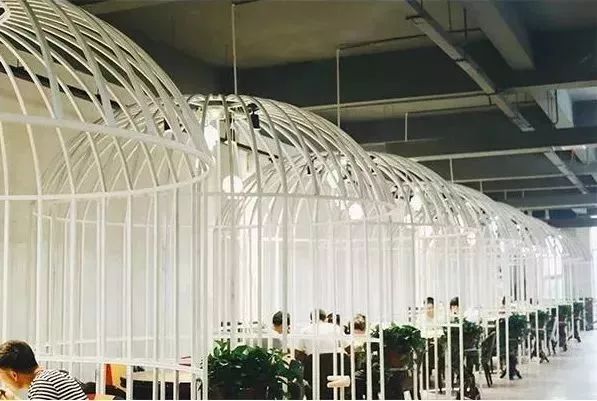 湖南长沙十大高校排名,长沙十大高校