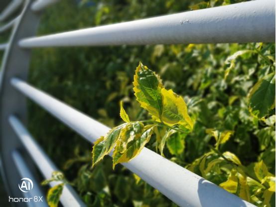 荣耀8x手机值不值得入手,荣耀8x手机怎么样值得买吗