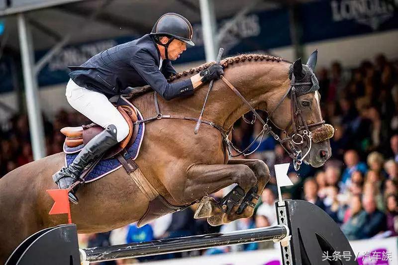 大师赛喊你来吃马术圈最贵狗粮