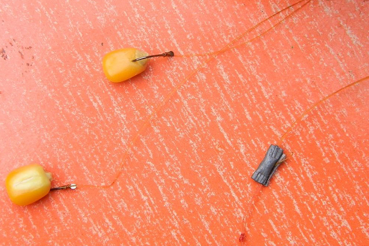 新手钓鱼遇到大鱼怎么办,新手钓大鱼必会的技巧