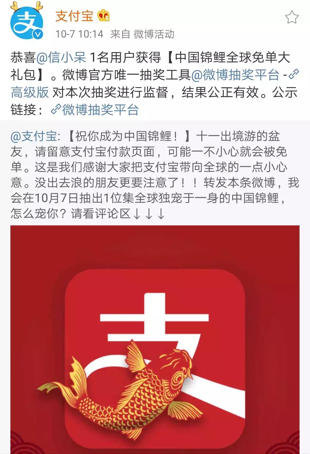 一夜暴富的中国锦鲤如今怎么样了,一夜暴富中国锦鲤现状引热议