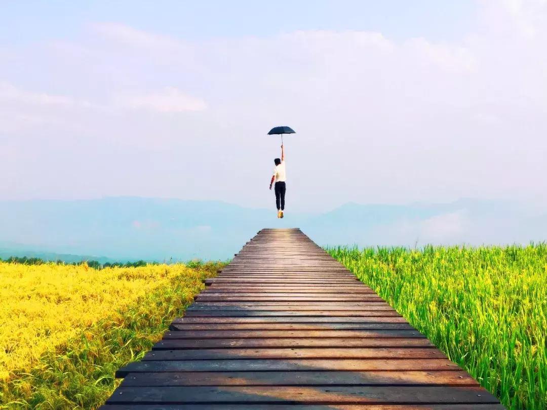 浙南绝美秘境,浙南生态秘境自驾