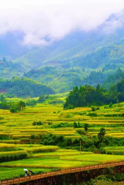 浙南绝美秘境,浙南生态秘境自驾